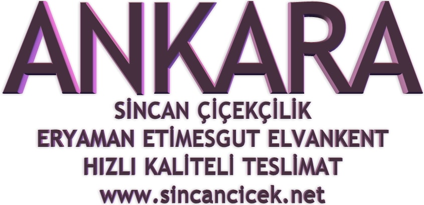 Ankara sincan Yenikent çiçekçisi