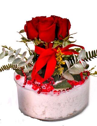 Ankara Sincan çiçekçi satışı sitemizden cam içerisinde 7 adet kırmızı gül Ankara çiçek gönder firması şahane ürünümüz 