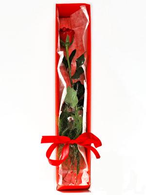 İnanan ve sevenlere özel kutu içerisinde tek gül Ankara çiçek gönderme firmamızdan size özel 