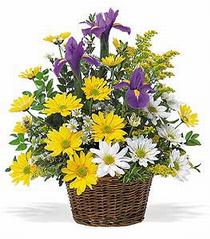 Ankara Sincan Çankaya Çiçekçi firma ürünümüz karışık çiçeklerden mevsim sepeti Ankara çiçek gönder firması şahane ürünümüz 