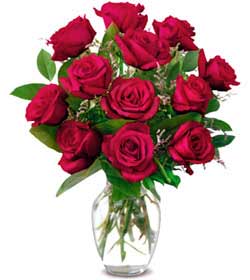 Ankara Sincande farklı bir çiçek firması ürünü  Sevgiye hasret gülleri Ankara çiçek gönder firması şahane ürünümüz 