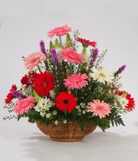 Ankara Sincan Yenimahalle Çiçekçi firma ürünümüz Karışık Gerbera mevsim sepeti çiçeği Ankara çiçek gönder firması şahane ürünümüz 
