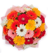 29 adet renkli gerbera buketi Ankara yurtiçi ve yurtdışı çiçek siparişi 